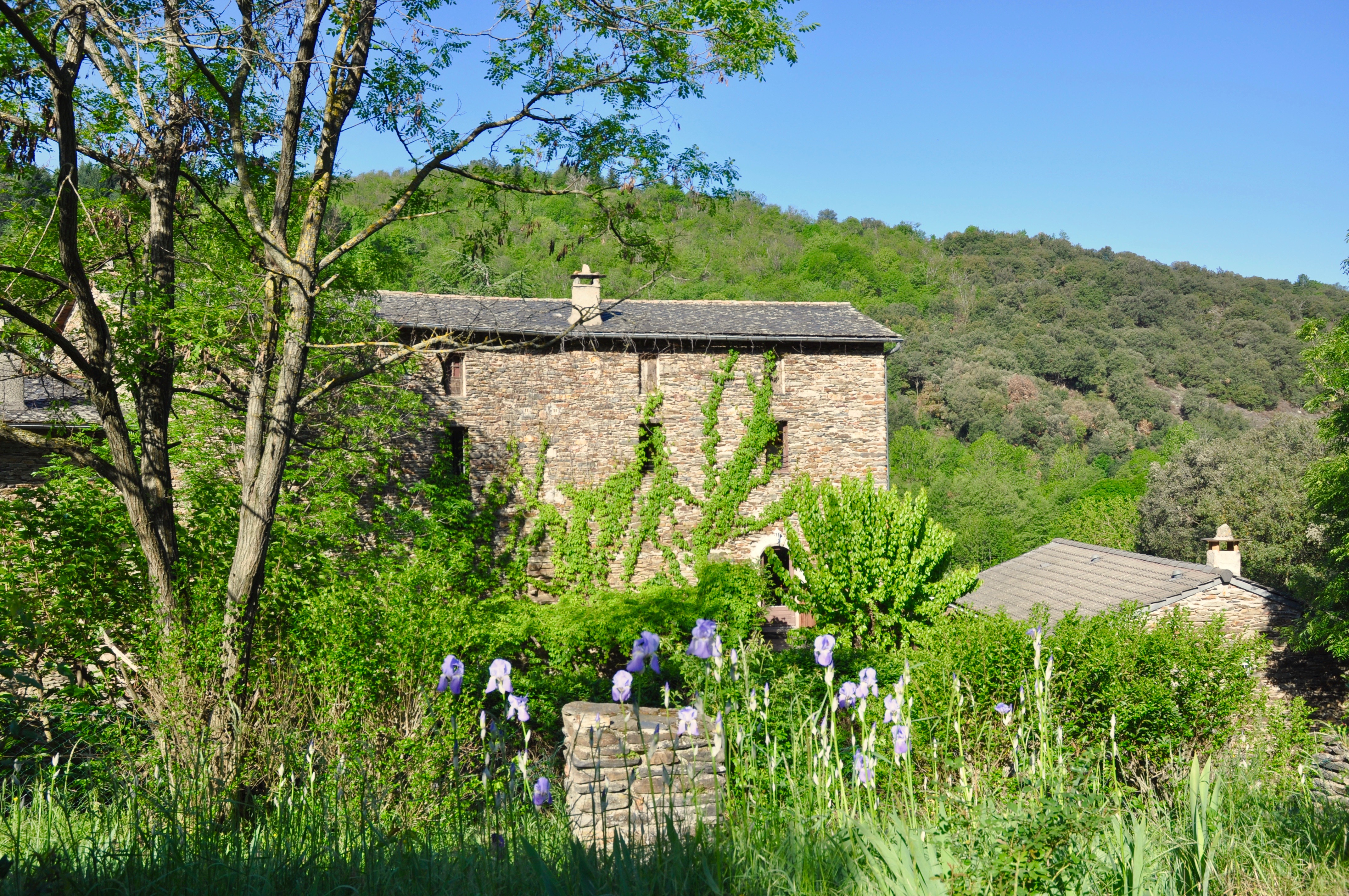 Le Jardin du Loft - Les Gites de Gardoussel